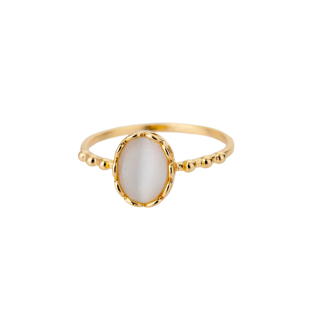 Palm Leaf Zircon Adjustable Ring for Women – Elegant Stainless Steel Party Jewelry